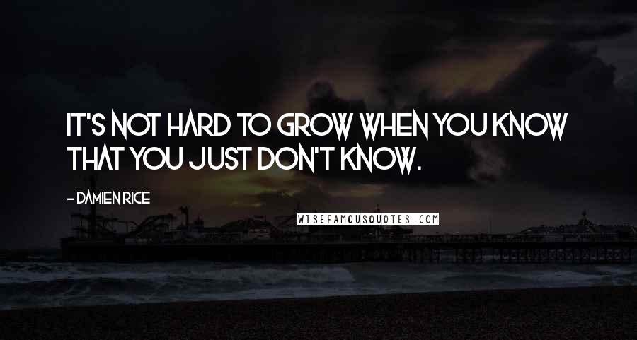 Damien Rice Quotes: It's not hard to grow when you know that you just don't know.