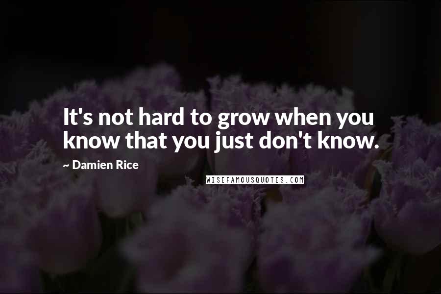 Damien Rice Quotes: It's not hard to grow when you know that you just don't know.