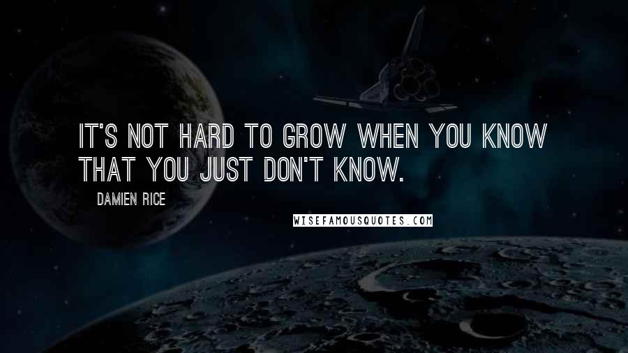 Damien Rice Quotes: It's not hard to grow when you know that you just don't know.