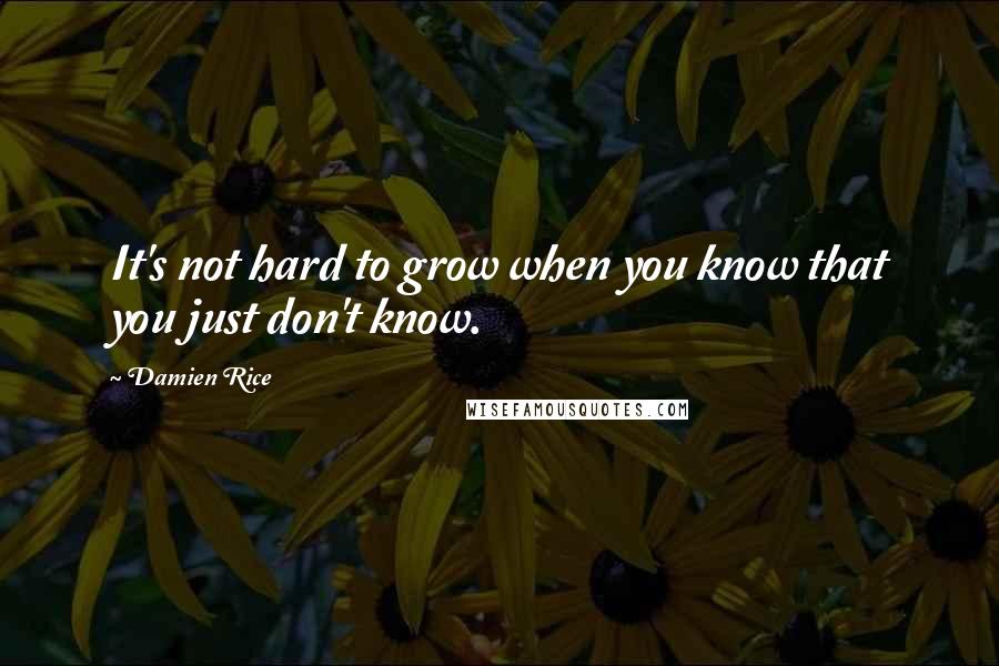 Damien Rice Quotes: It's not hard to grow when you know that you just don't know.