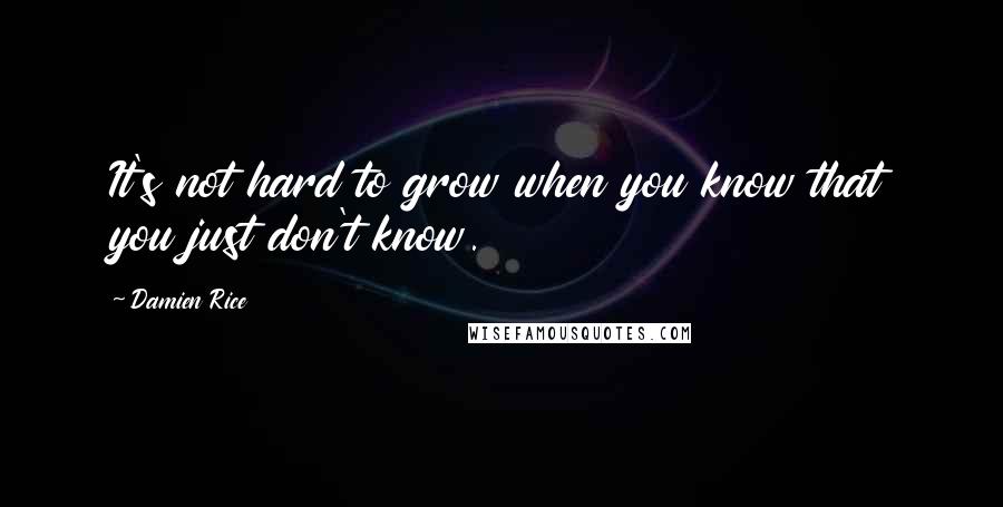 Damien Rice Quotes: It's not hard to grow when you know that you just don't know.