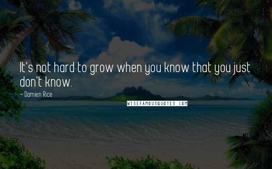 Damien Rice Quotes: It's not hard to grow when you know that you just don't know.