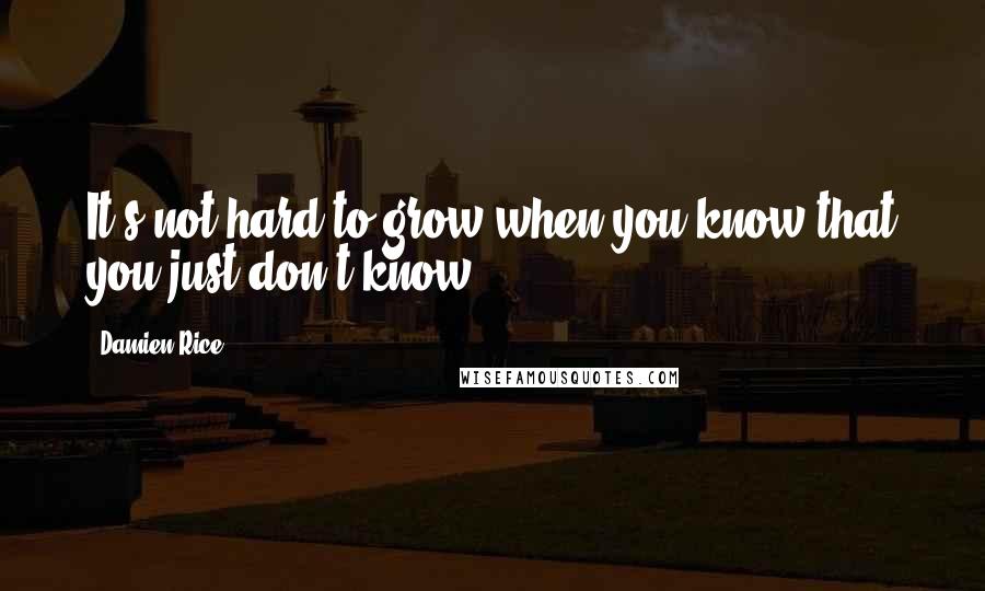 Damien Rice Quotes: It's not hard to grow when you know that you just don't know.