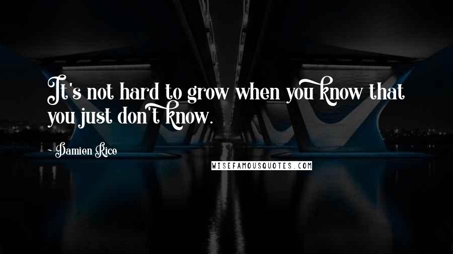 Damien Rice Quotes: It's not hard to grow when you know that you just don't know.