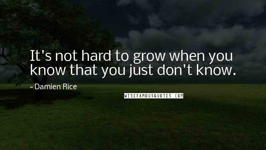 Damien Rice Quotes: It's not hard to grow when you know that you just don't know.