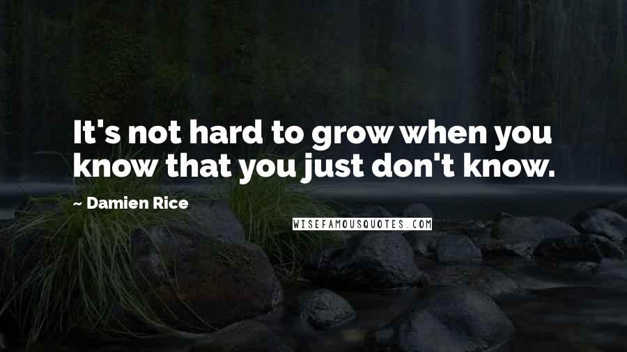 Damien Rice Quotes: It's not hard to grow when you know that you just don't know.