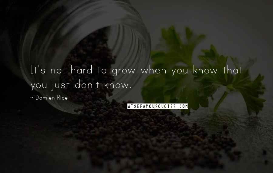 Damien Rice Quotes: It's not hard to grow when you know that you just don't know.