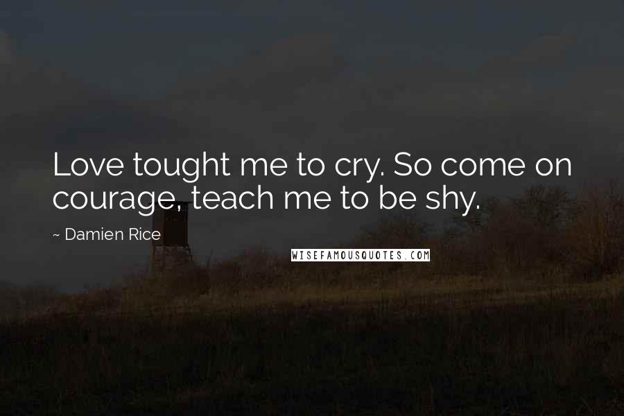 Damien Rice Quotes: Love tought me to cry. So come on courage, teach me to be shy.