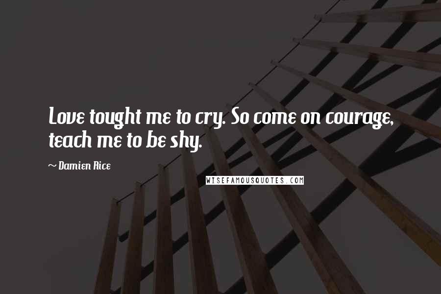 Damien Rice Quotes: Love tought me to cry. So come on courage, teach me to be shy.