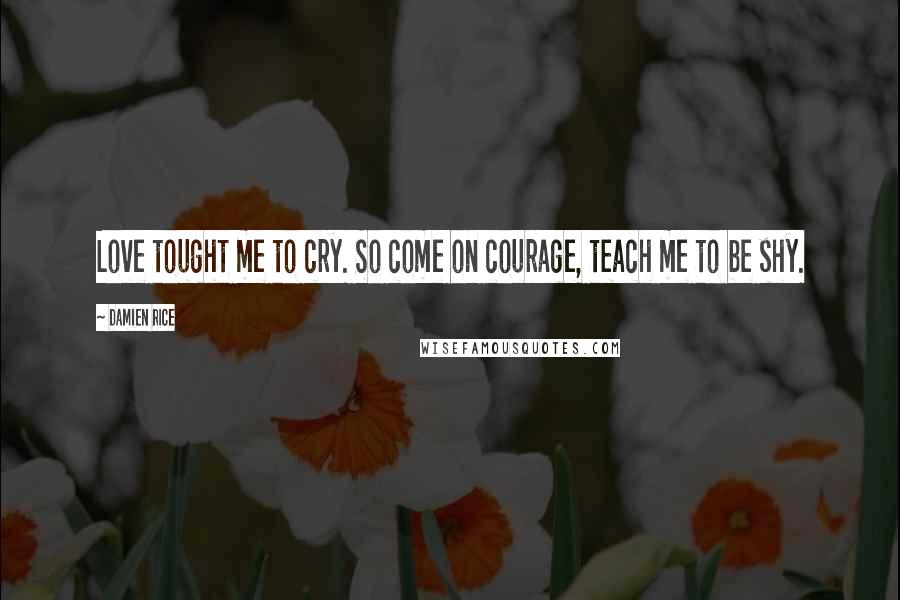 Damien Rice Quotes: Love tought me to cry. So come on courage, teach me to be shy.