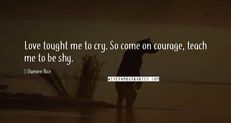 Damien Rice Quotes: Love tought me to cry. So come on courage, teach me to be shy.