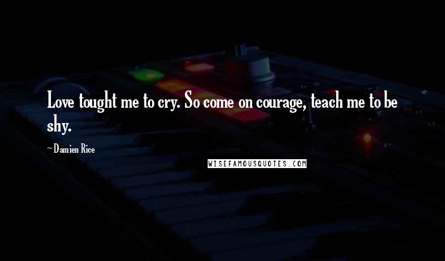 Damien Rice Quotes: Love tought me to cry. So come on courage, teach me to be shy.