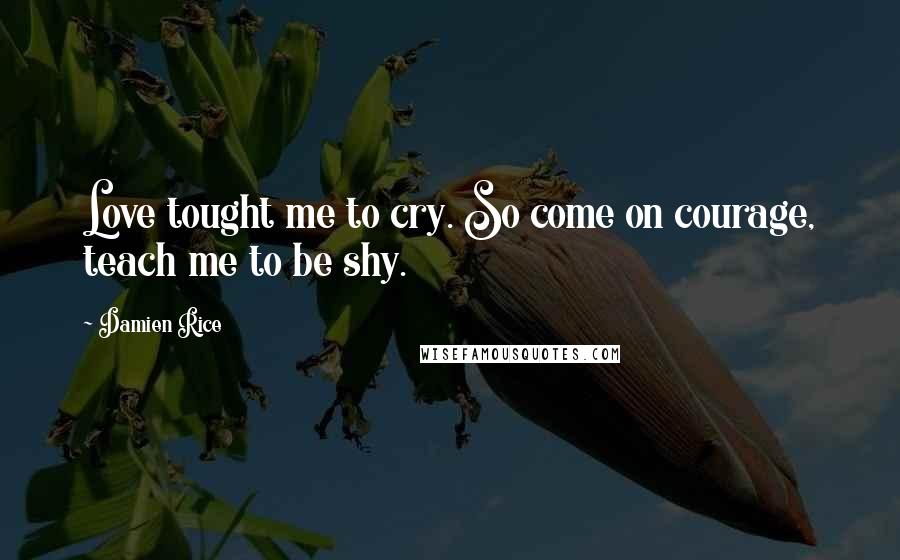 Damien Rice Quotes: Love tought me to cry. So come on courage, teach me to be shy.