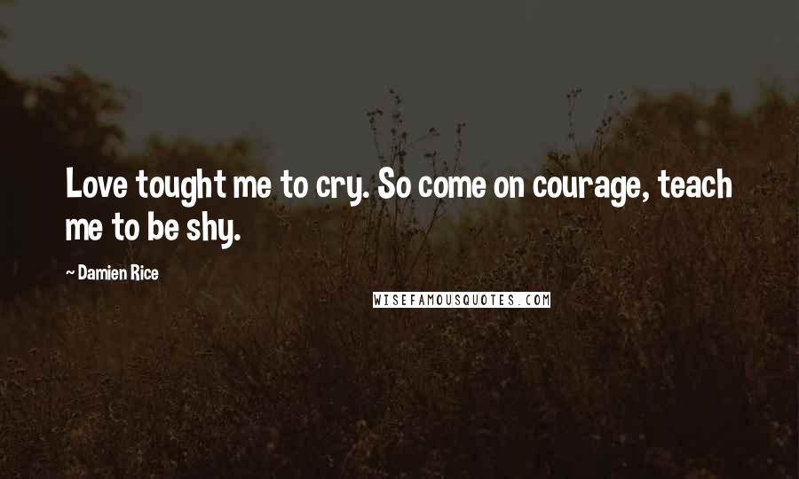 Damien Rice Quotes: Love tought me to cry. So come on courage, teach me to be shy.