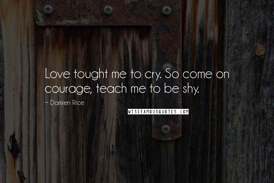 Damien Rice Quotes: Love tought me to cry. So come on courage, teach me to be shy.