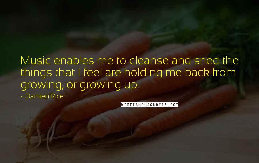 Damien Rice Quotes: Music enables me to cleanse and shed the things that I feel are holding me back from growing, or growing up.