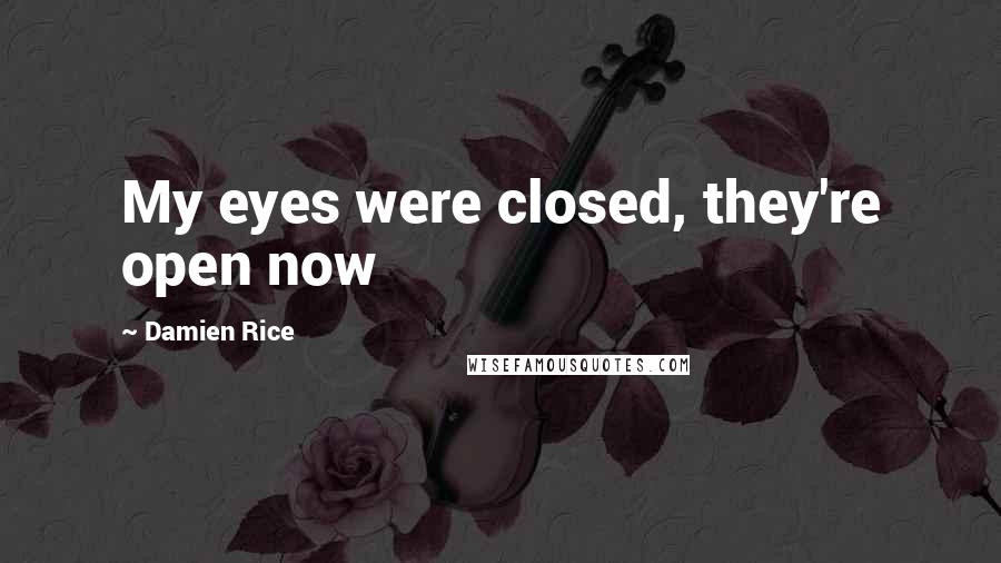 Damien Rice Quotes: My eyes were closed, they're open now