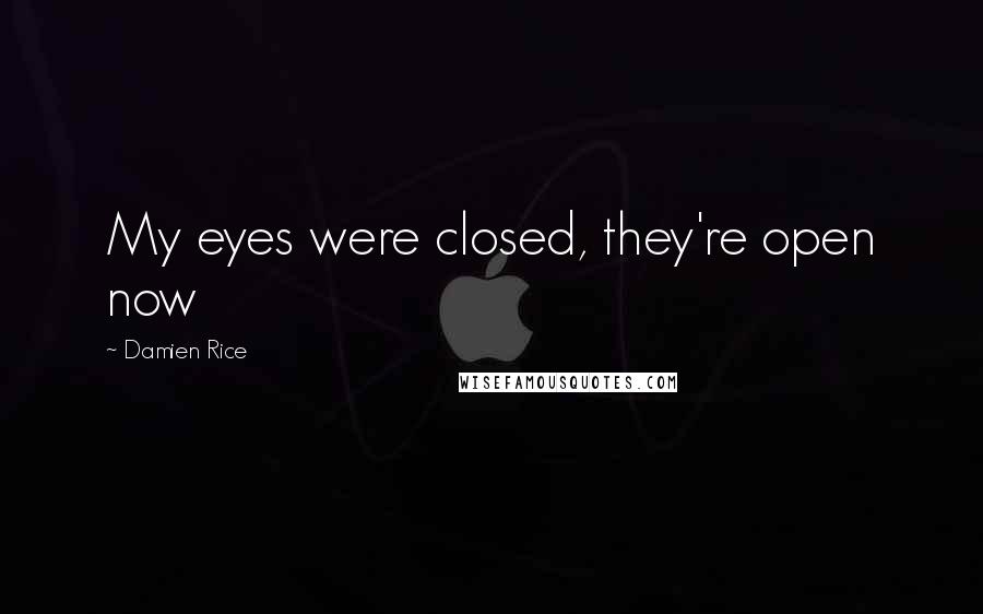 Damien Rice Quotes: My eyes were closed, they're open now