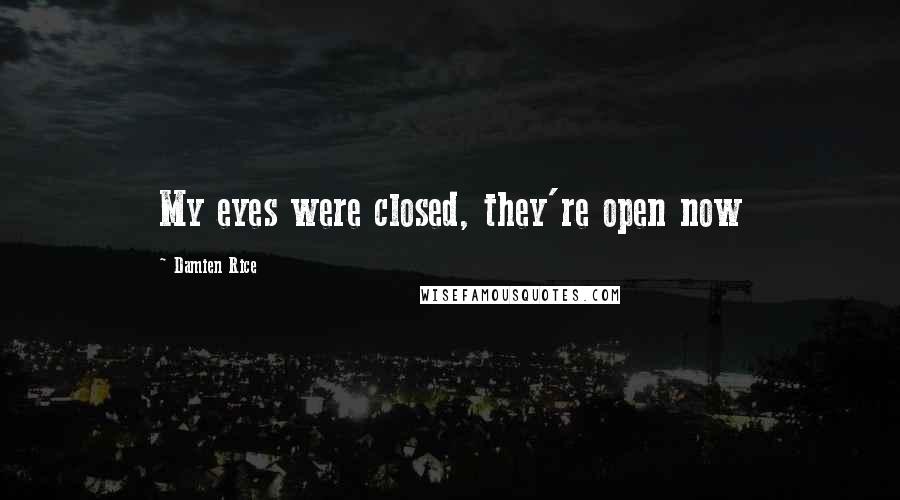 Damien Rice Quotes: My eyes were closed, they're open now