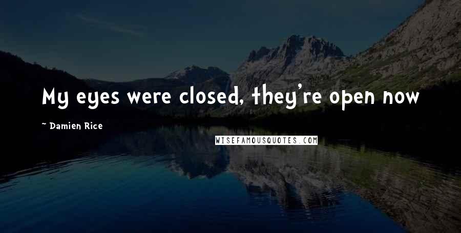 Damien Rice Quotes: My eyes were closed, they're open now