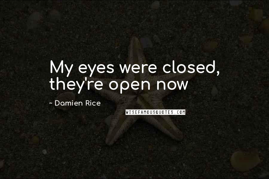 Damien Rice Quotes: My eyes were closed, they're open now