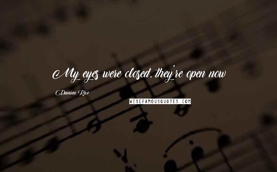 Damien Rice Quotes: My eyes were closed, they're open now