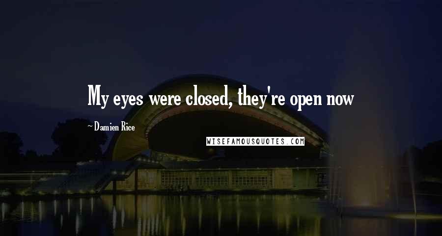Damien Rice Quotes: My eyes were closed, they're open now