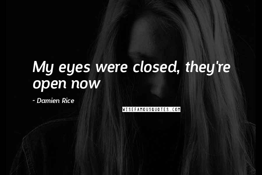 Damien Rice Quotes: My eyes were closed, they're open now