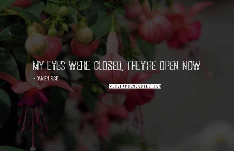 Damien Rice Quotes: My eyes were closed, they're open now