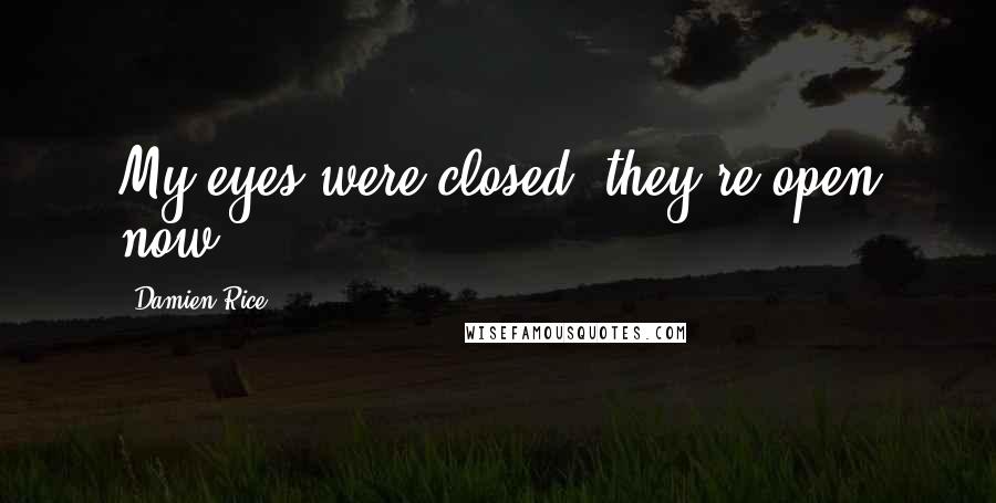 Damien Rice Quotes: My eyes were closed, they're open now