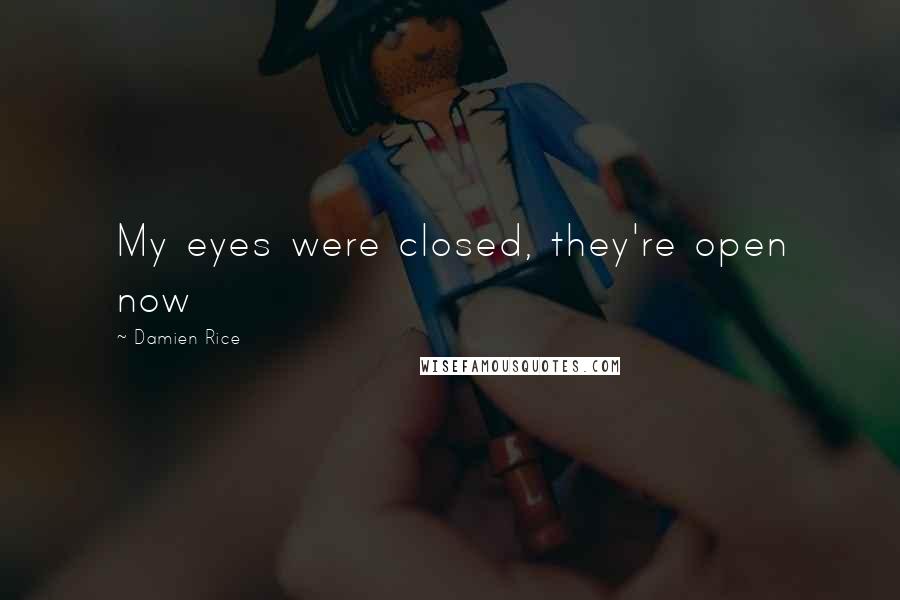 Damien Rice Quotes: My eyes were closed, they're open now