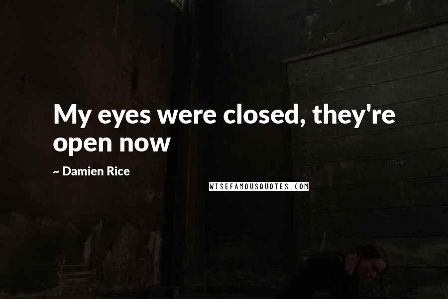 Damien Rice Quotes: My eyes were closed, they're open now