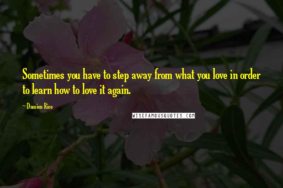 Damien Rice Quotes: Sometimes you have to step away from what you love in order to learn how to love it again.