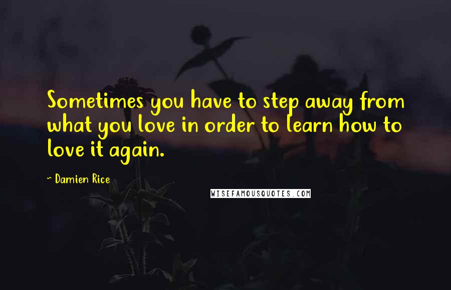 Damien Rice Quotes: Sometimes you have to step away from what you love in order to learn how to love it again.