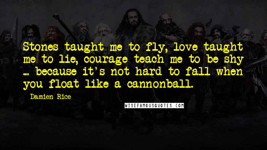 Damien Rice Quotes: Stones taught me to fly, love taught me to lie, courage teach me to be shy ... because it's not hard to fall when you float like a cannonball.