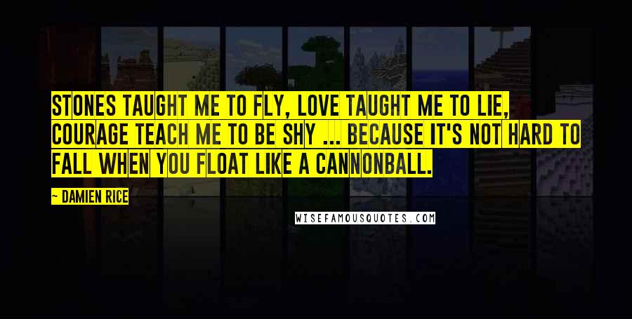 Damien Rice Quotes: Stones taught me to fly, love taught me to lie, courage teach me to be shy ... because it's not hard to fall when you float like a cannonball.