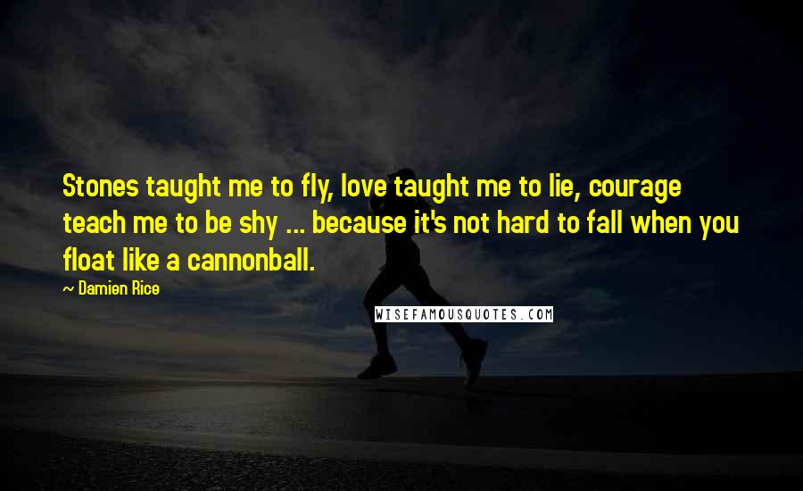 Damien Rice Quotes: Stones taught me to fly, love taught me to lie, courage teach me to be shy ... because it's not hard to fall when you float like a cannonball.