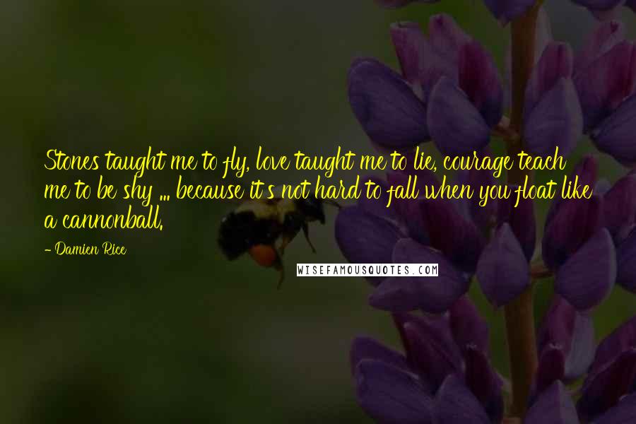 Damien Rice Quotes: Stones taught me to fly, love taught me to lie, courage teach me to be shy ... because it's not hard to fall when you float like a cannonball.