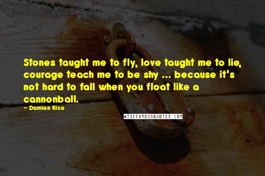 Damien Rice Quotes: Stones taught me to fly, love taught me to lie, courage teach me to be shy ... because it's not hard to fall when you float like a cannonball.