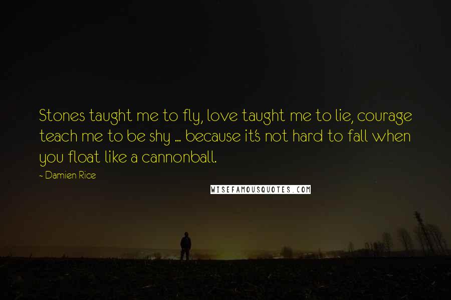 Damien Rice Quotes: Stones taught me to fly, love taught me to lie, courage teach me to be shy ... because it's not hard to fall when you float like a cannonball.