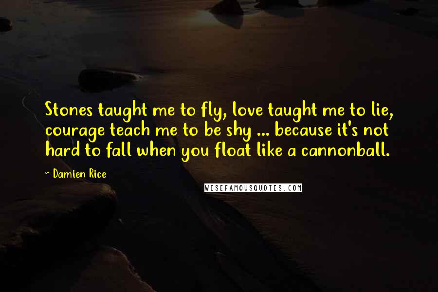 Damien Rice Quotes: Stones taught me to fly, love taught me to lie, courage teach me to be shy ... because it's not hard to fall when you float like a cannonball.