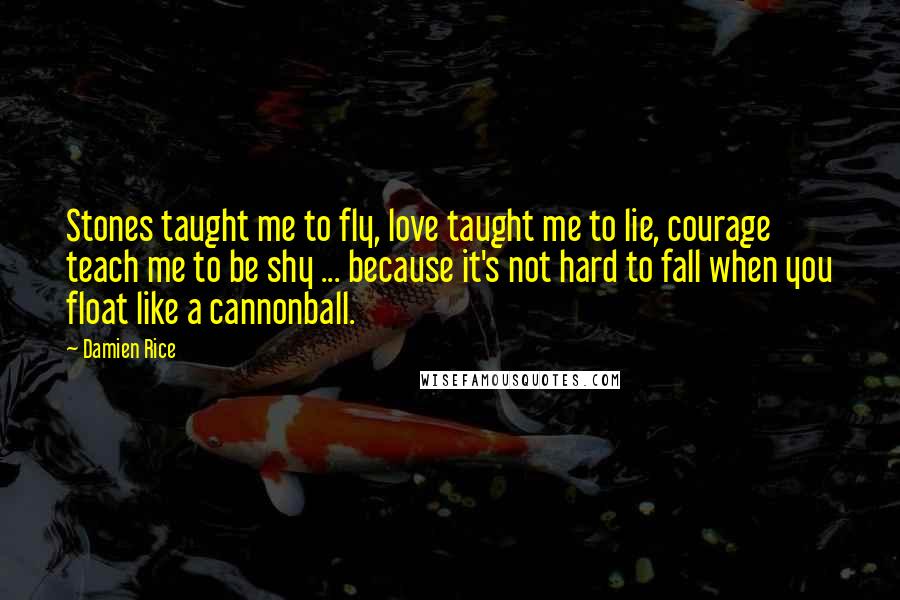 Damien Rice Quotes: Stones taught me to fly, love taught me to lie, courage teach me to be shy ... because it's not hard to fall when you float like a cannonball.