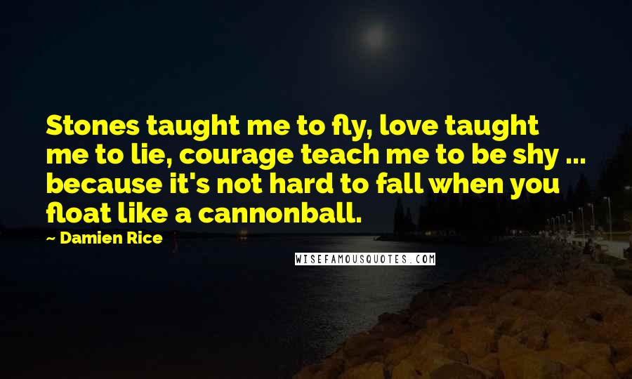 Damien Rice Quotes: Stones taught me to fly, love taught me to lie, courage teach me to be shy ... because it's not hard to fall when you float like a cannonball.