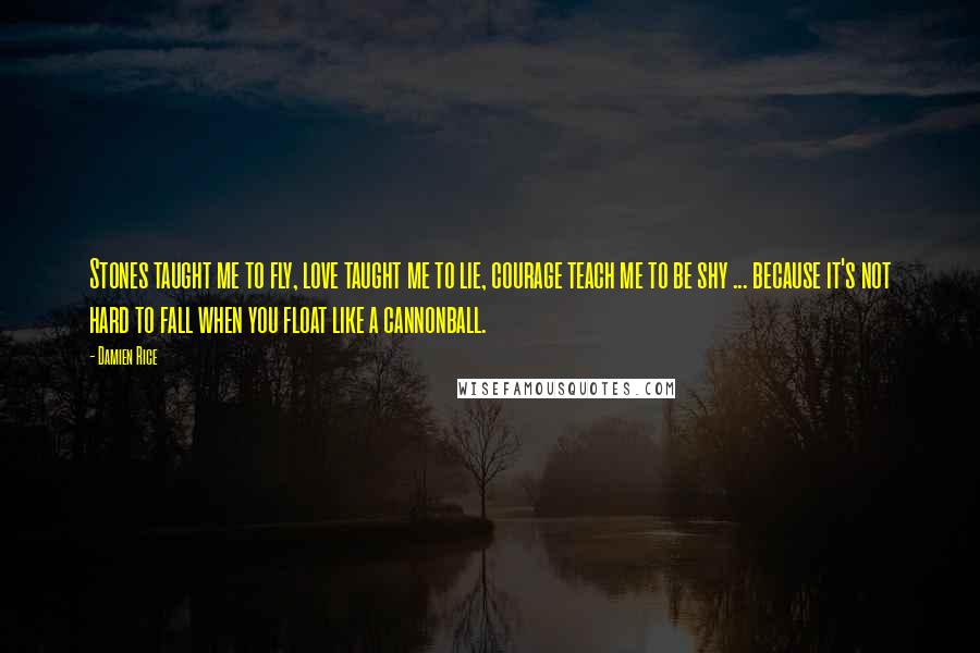 Damien Rice Quotes: Stones taught me to fly, love taught me to lie, courage teach me to be shy ... because it's not hard to fall when you float like a cannonball.