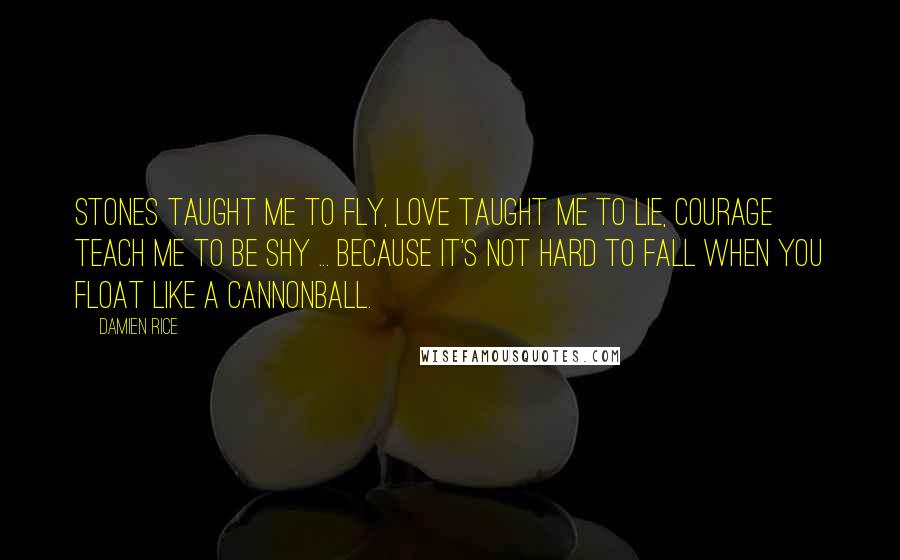 Damien Rice Quotes: Stones taught me to fly, love taught me to lie, courage teach me to be shy ... because it's not hard to fall when you float like a cannonball.