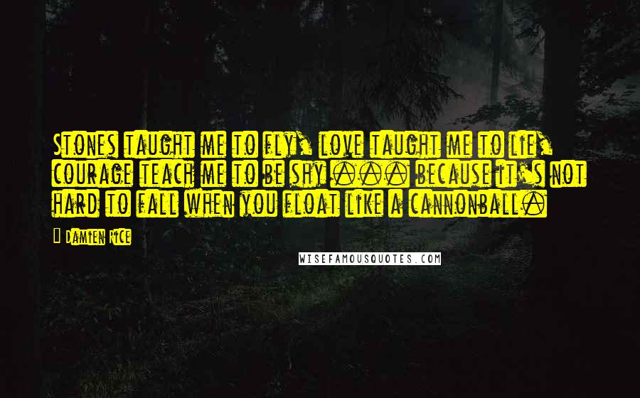 Damien Rice Quotes: Stones taught me to fly, love taught me to lie, courage teach me to be shy ... because it's not hard to fall when you float like a cannonball.