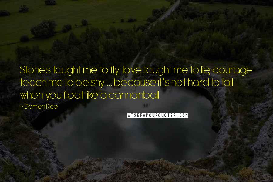 Damien Rice Quotes: Stones taught me to fly, love taught me to lie, courage teach me to be shy ... because it's not hard to fall when you float like a cannonball.