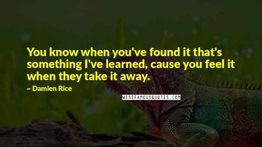 Damien Rice Quotes: You know when you've found it that's something I've learned, cause you feel it when they take it away.