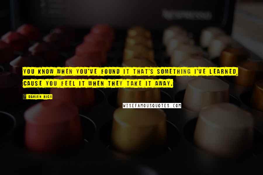 Damien Rice Quotes: You know when you've found it that's something I've learned, cause you feel it when they take it away.