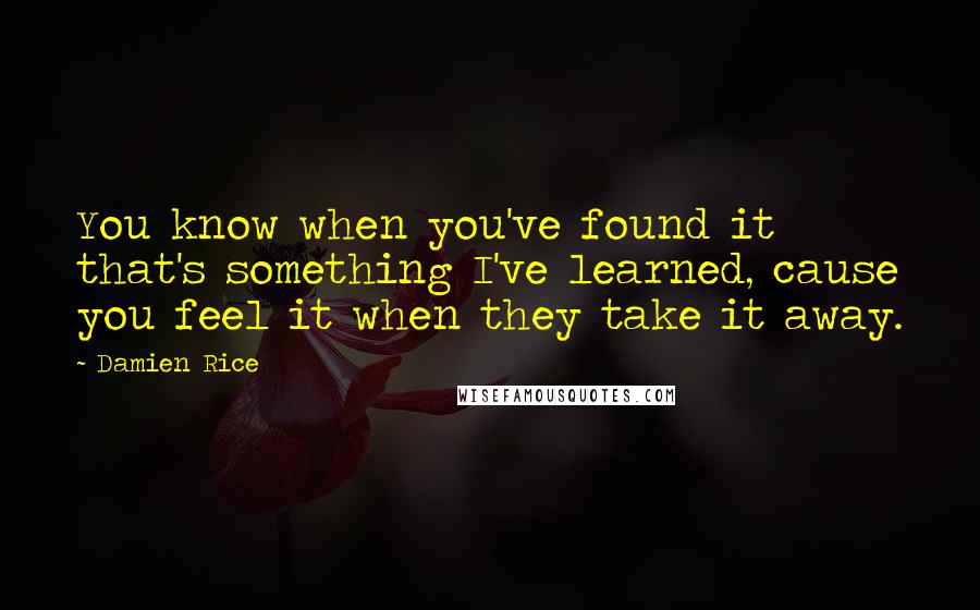 Damien Rice Quotes: You know when you've found it that's something I've learned, cause you feel it when they take it away.